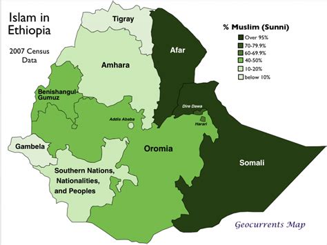 Zestablicie Islamu w Etiopii; początki religijnej transformacji i jej wpływ na relacje polityczne